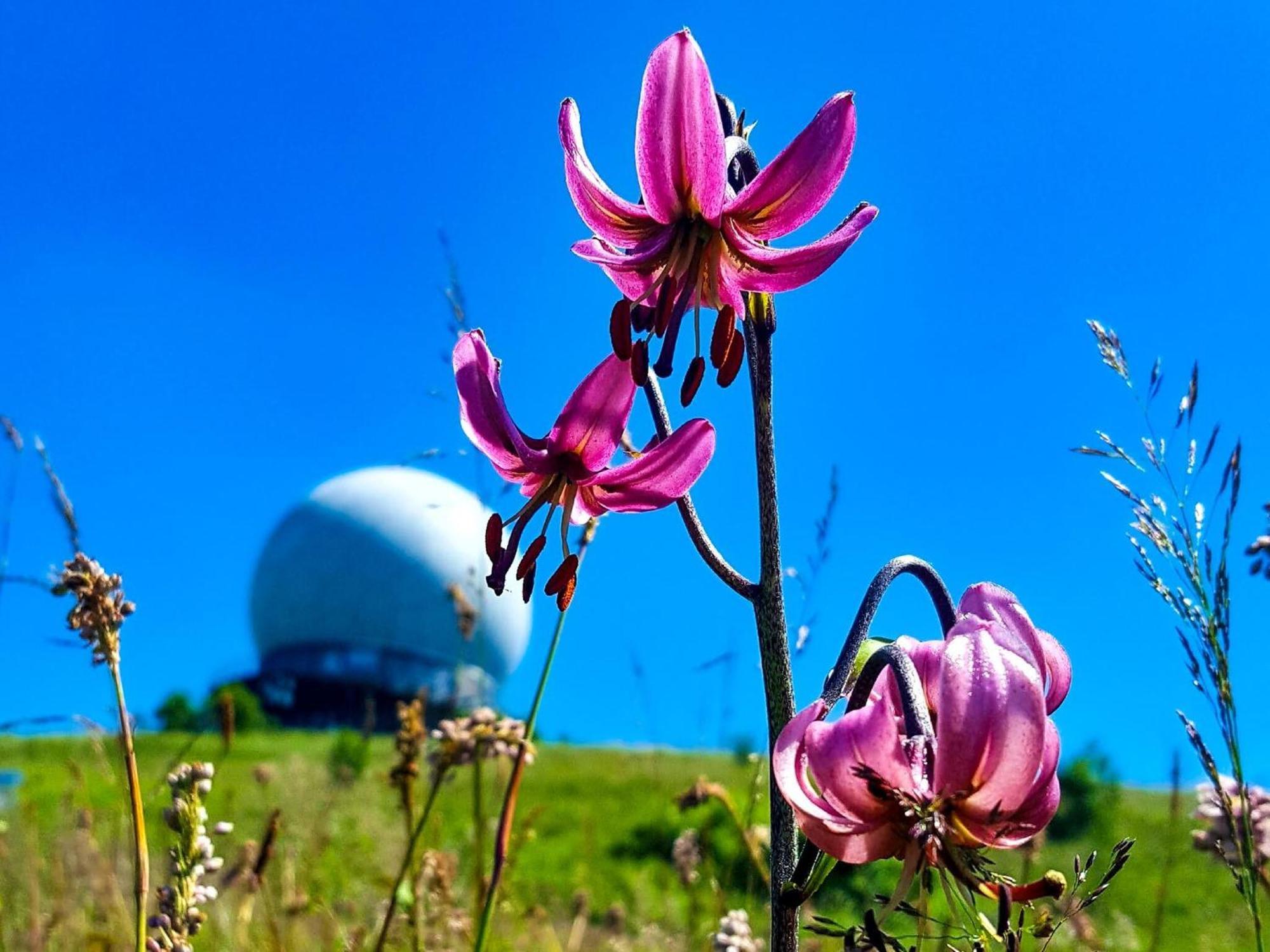 Peterchens Mondfahrt - Wasserkuppe ゲルスフェルト エクステリア 写真